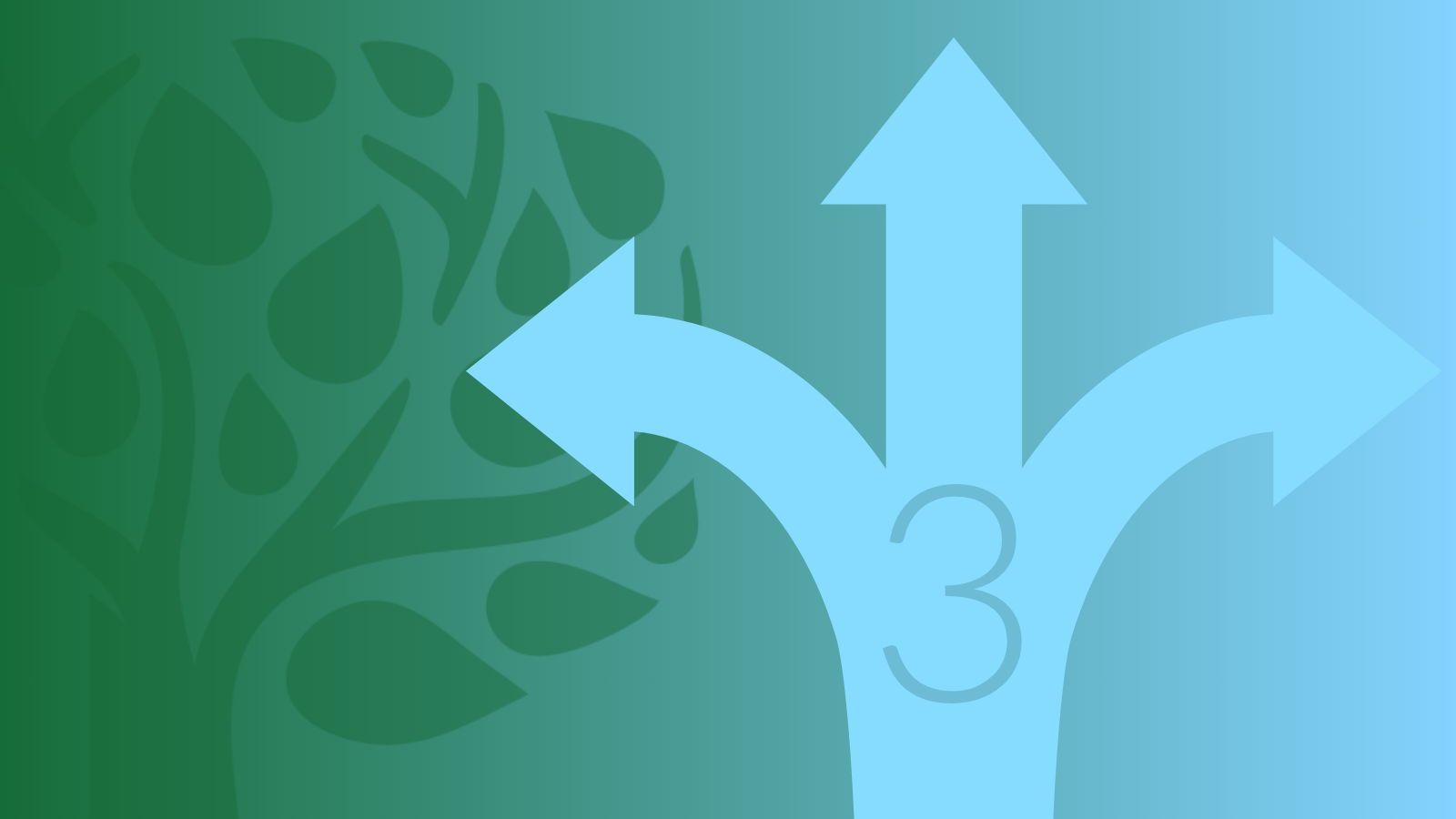 Leadership & Relationship Building